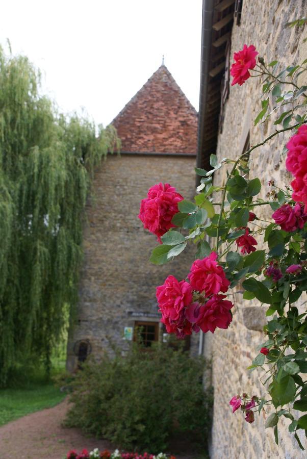 Chambre D' Hotes Des Collines Amanzé Exteriör bild